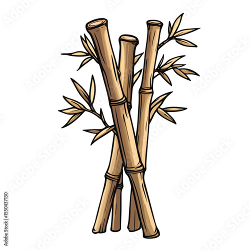 Dry Bamboo Cartoon Vector and Illustration Hand Draw