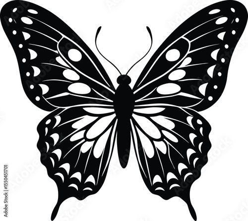 Silhouette of a Butterfly With Spread Wings