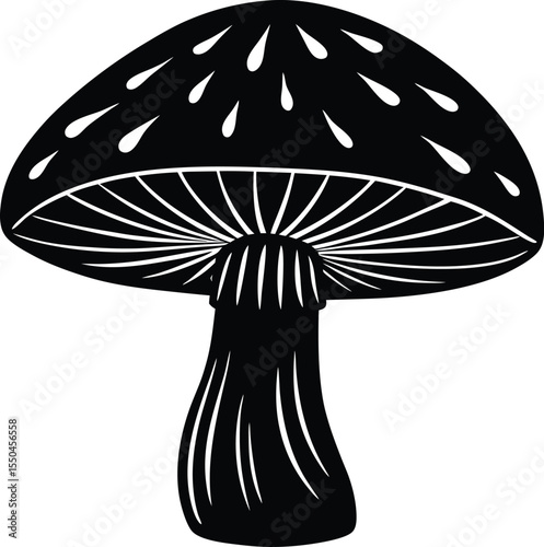 Silhouette of a Mushroom
