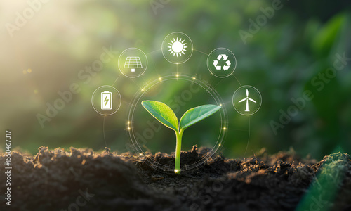 Young sprout emerging from soil, surrounded by eco-friendly icons
