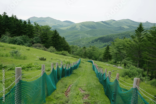 Serene landscape featuring green pathway bordered by protective netting, leading through lush grass and trees towards distant mountains. scene evokes sense of tranquility and connection with