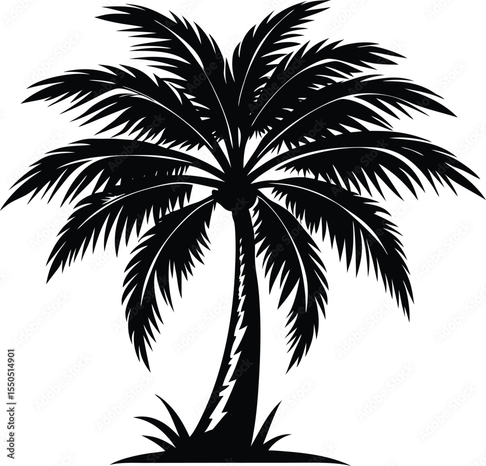 Obraz premium Palm Tree Silhouette