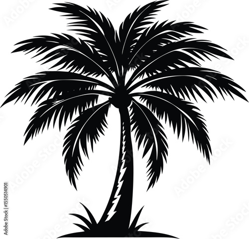 Palm Tree Silhouette