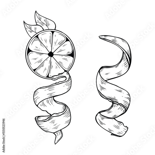  Citrus slice with spiral peel and leaves. Hand-drawn black and white illustration in vintage engraving style. Perfect for juice labels, packaging, and botanical design. Lemon line art