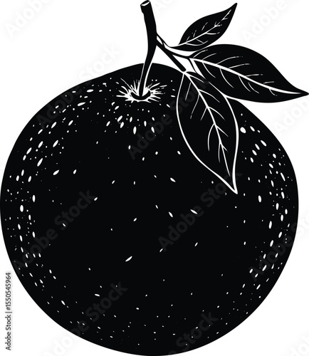 Silhouette of a Orange