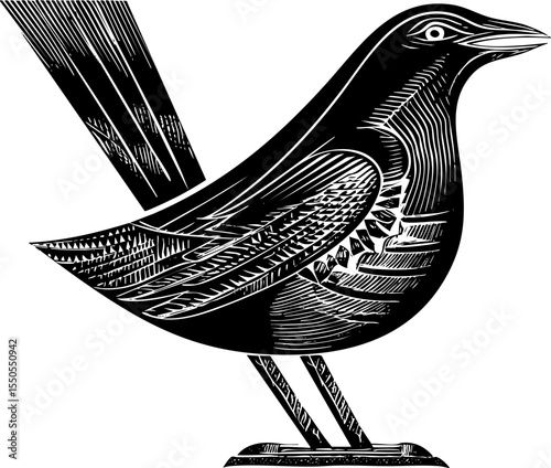 Black and white illustration portrays a detailed bird with intricate feather patterns, perfect for nature or wildlife-themed designs.