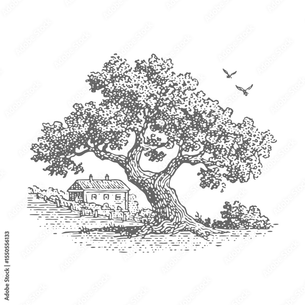 Fototapeta premium Tree in a Rural Landscape. Vintage rough woodcut engraving linocut style vector illustration.