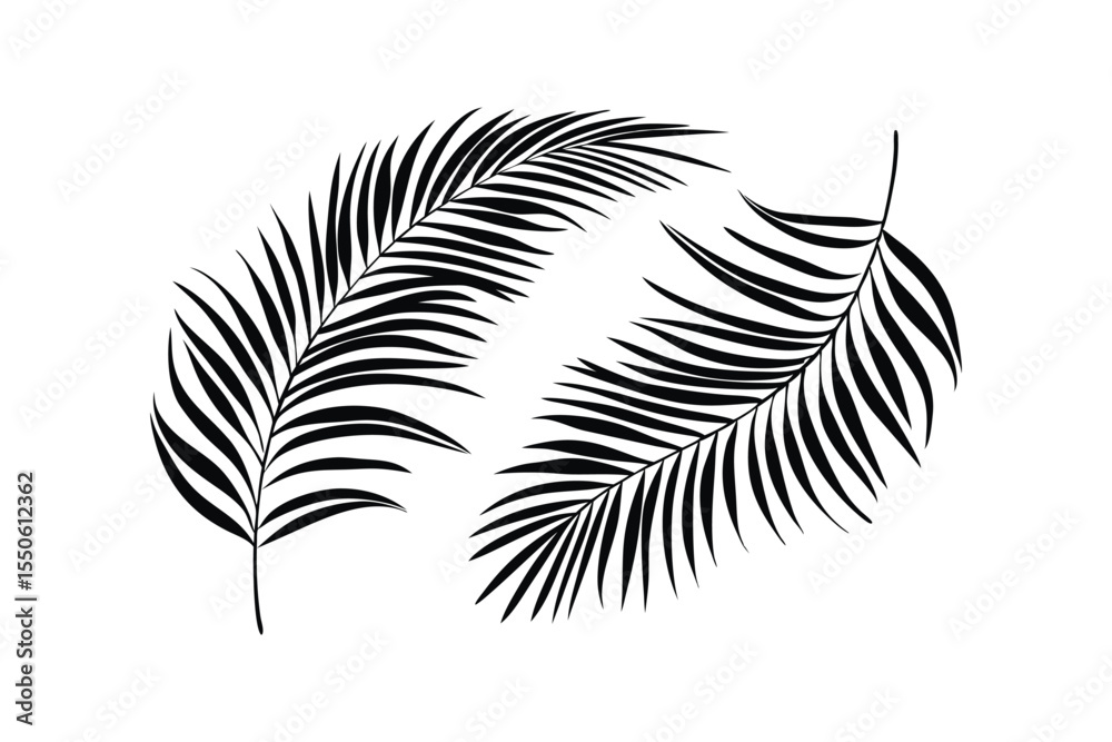 Obraz premium Elegant Black Palm Leaf Icons Vector Set for Tropical Decor and Nature Design Projects