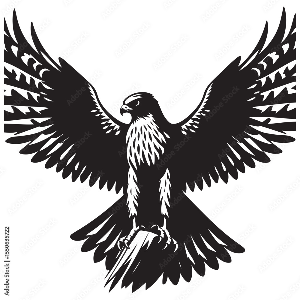 Fototapeta premium eagle vector illustration