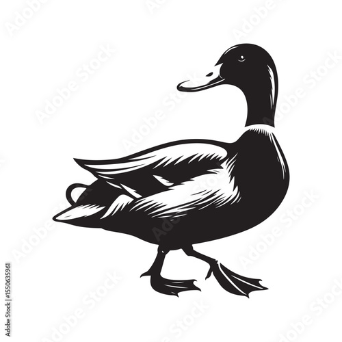 female mallard duck