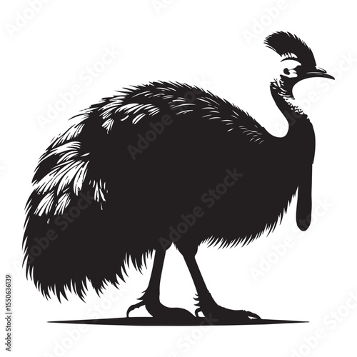 ostrich cartoon isolated on white