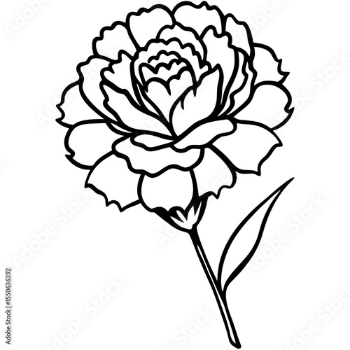 Minimal Carnation Bloom Vector