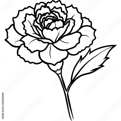 Minimal Carnation Bloom Vector