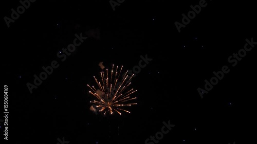 Multicolor fireworks sparks fly across black night sky on holiday event. Festive dazzling display with firework bursts against darkness during party. Fireworks show on public holiday for audience