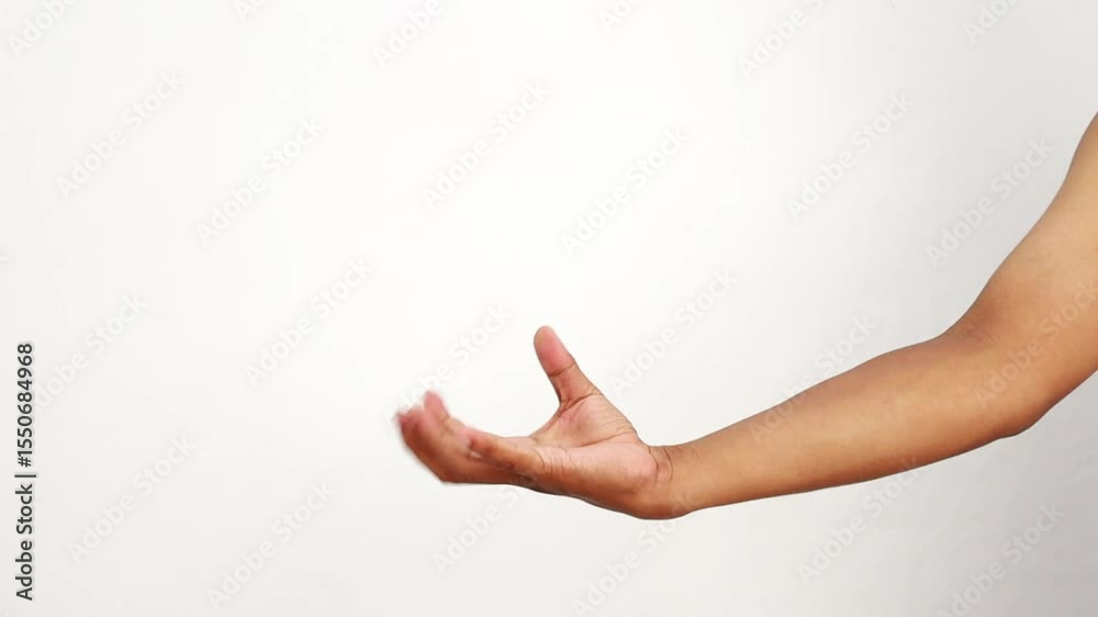 Diverse hand gestures against a clean white background showcasing different positions