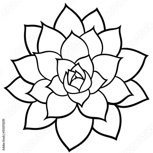 Succulent Plant Silhouette