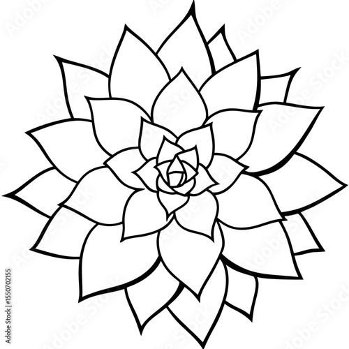 Succulent Plant Silhouette