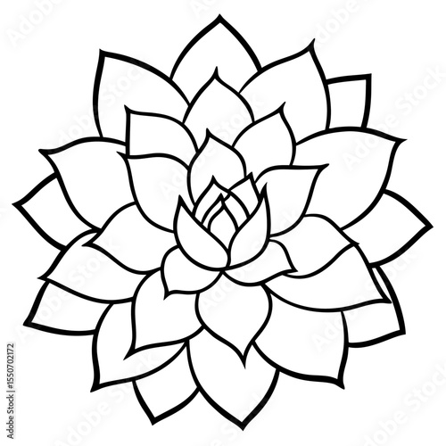Succulent Plant Silhouette