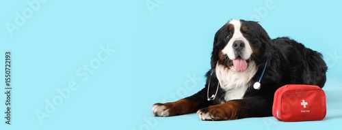 Cute  dog with first aid ki...