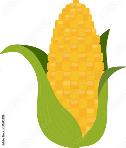 Corn on the cob with leaf