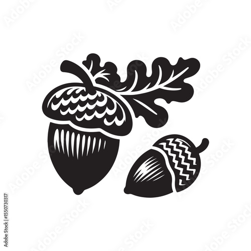 Acorn Vector (4).eps
