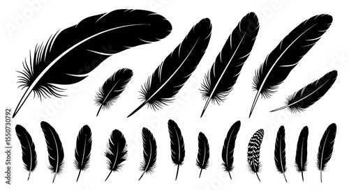 Silhouetted Black Feathers on White Background, Various Sizes and Shapes