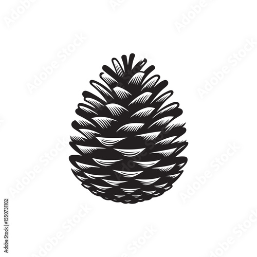 Pinecone Vector (1).eps