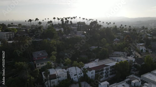 colorful aerial view flying past palm trees in sunset Los Angeles near Hollywood USA