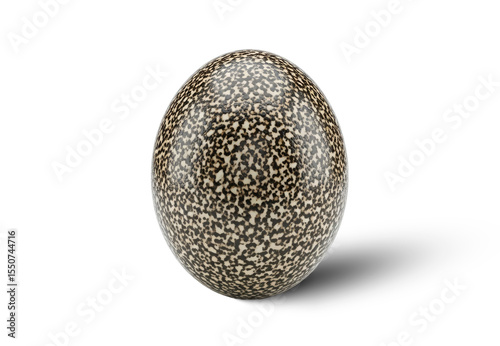 Mottled Egg Isolated PNG With Shadow on Transparent Background