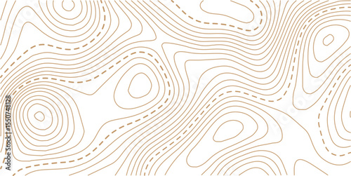 Abstract topo contour map on white background, Topographic map Topographic contour lines map seamless pattern. Geographic mountain relief diagram line wave carve pattern