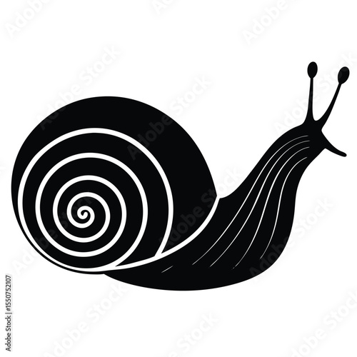 Elegant black and white vector illustration of a simple stylized snail on a white background