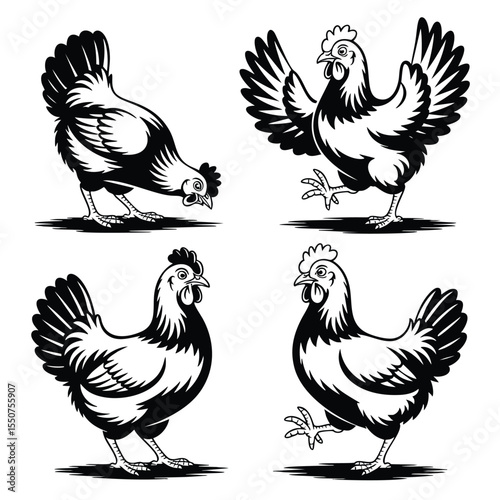 Four Classic Chicken Illustrations: Vintage Style Poultry Art