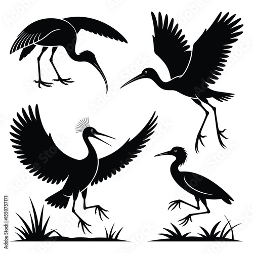 Silhouette Bird Art: Four Wading Bird Poses in Black and White