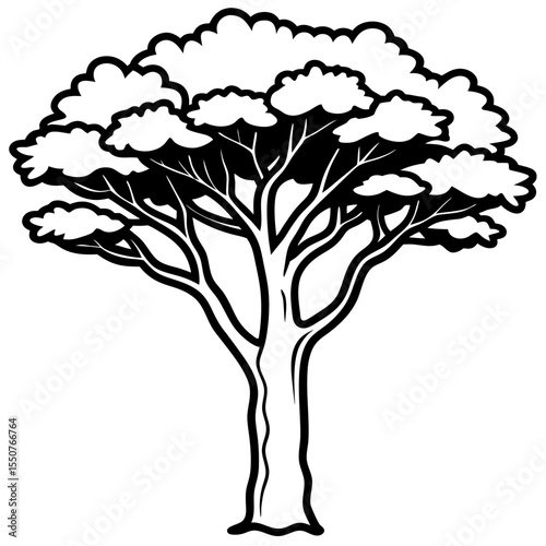 Minimal Acacia Tree Illustration