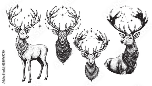 Engraved deer celestial mystical gentle detailed cosmic bold classic graphic spiritual forest design