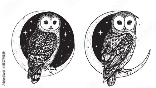 Engraved owl celestial mystical wise detailed cosmic bold classic graphic spiritual nocturnal design