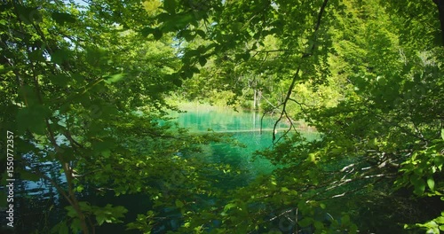 Wallpaper Mural Lush greenery and turquoise water view in Plitvice Lakes National Park in summer Torontodigital.ca