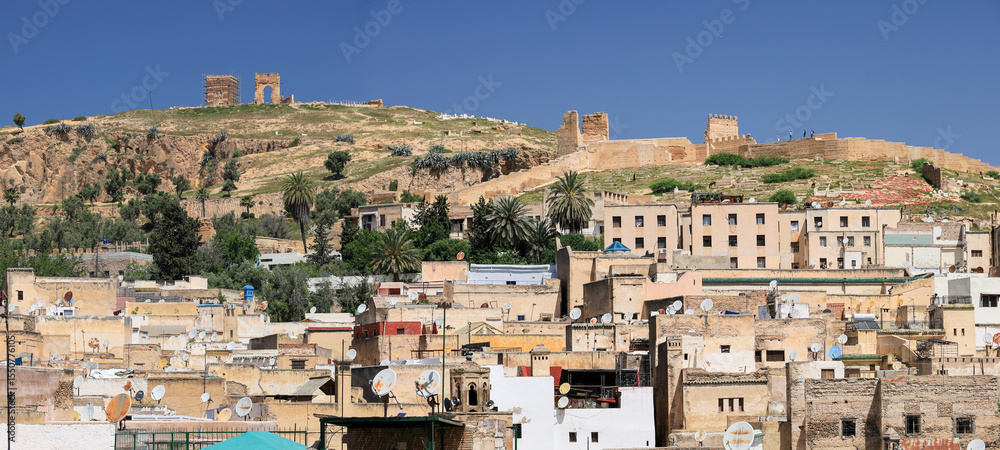 Obraz premium モロッコ フェズ メディナからマリーン朝の墓地の丘を望む