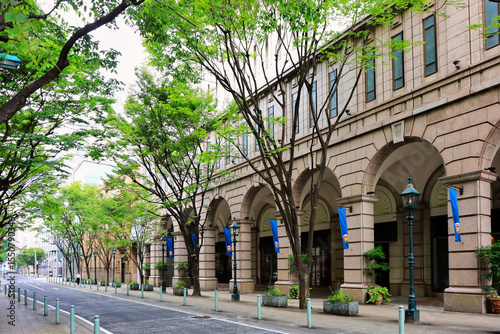 新緑の神戸旧居留地