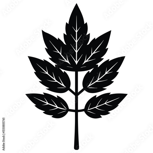 Biologist element isolated plant specimen on white background