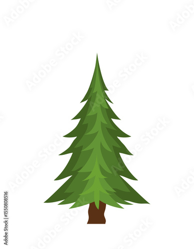 christmas tree isolated on white