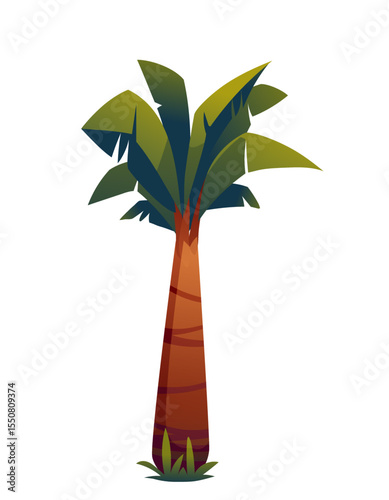palm tree on a white