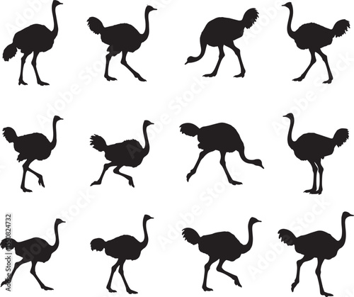 Collection of Ostrich silhouettes in various poses and actions silhouette