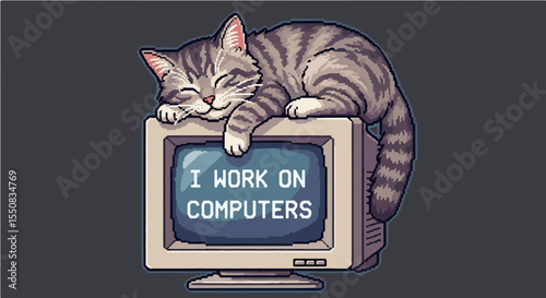 Adorable Pixel Art Grey Tabby Cat Napping on Vintage Computer Screen with "I Work On Computers" Slogan