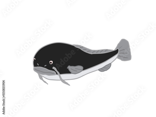 Illustration of a catfish with a cute face