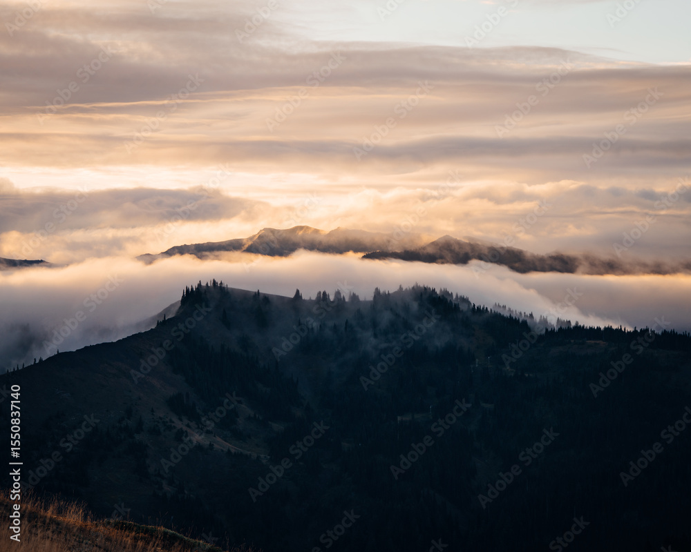 Obraz premium Hurricane Ridge via Hurricane Hill in Olypmic National Park