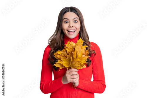 September season. Stylish amazed teen girl isolated on white with maple leaf. Autumn leaf arrangement. Girl with maple leaf. Fall season beauty. Autumn style. Fallen autumn leaves