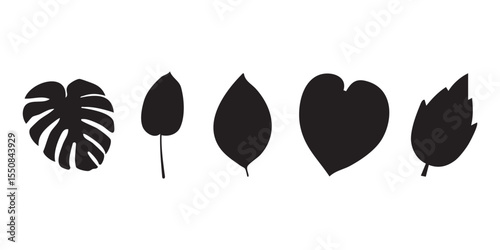 Tropical Leaves Vector Set Illustration Silhouette Design Elements Isolated on White Background for Creative Projects and Designs

