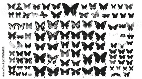Set Mega Collection Bundle pretty Butterfly butterflies , black silhouettes isolated on white background