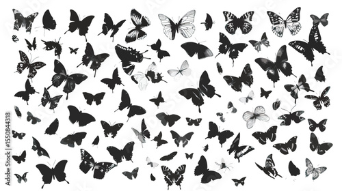 Set Mega Collection Bundle pretty Butterfly butterflies , black silhouettes isolated on white background